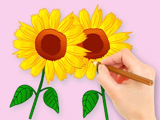 Coloring Book: Sunflowers