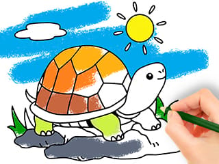 Coloring Book: Sunny Turtle