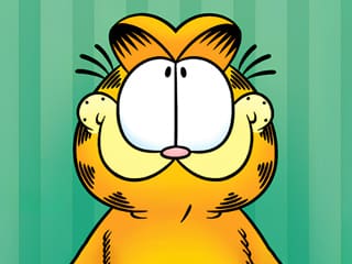 Jigsaw Puzzle: Garfield Picture