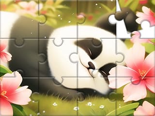 Jigsaw Puzzle: Sleeping Panda
