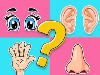 Kids Quiz: Do You Know Your Body?
