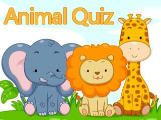 Kids Quiz: What Animal Did You Hear?